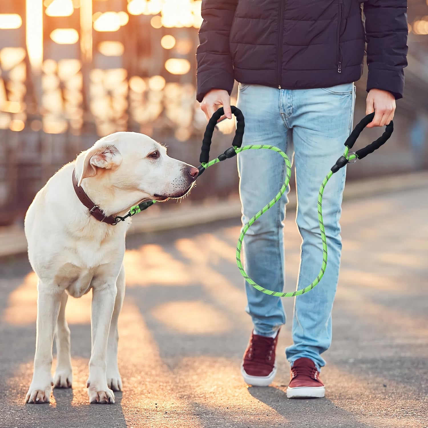Dog Leash Traffic Double Padded Handles - Image 3