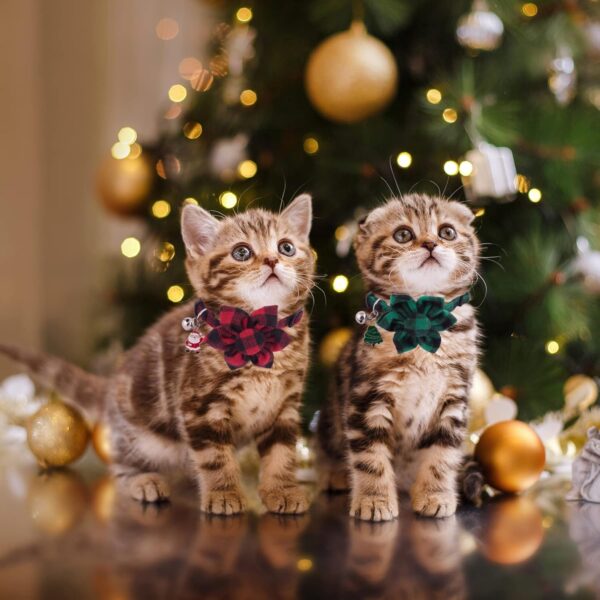 PTDECOR Christmas Cat Collars with Flower - Image 3