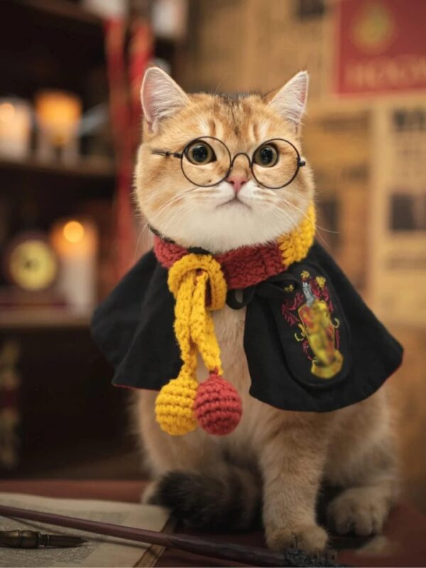Cat Costumes 3 Piece Set with Glasses and Neckties - Image 2