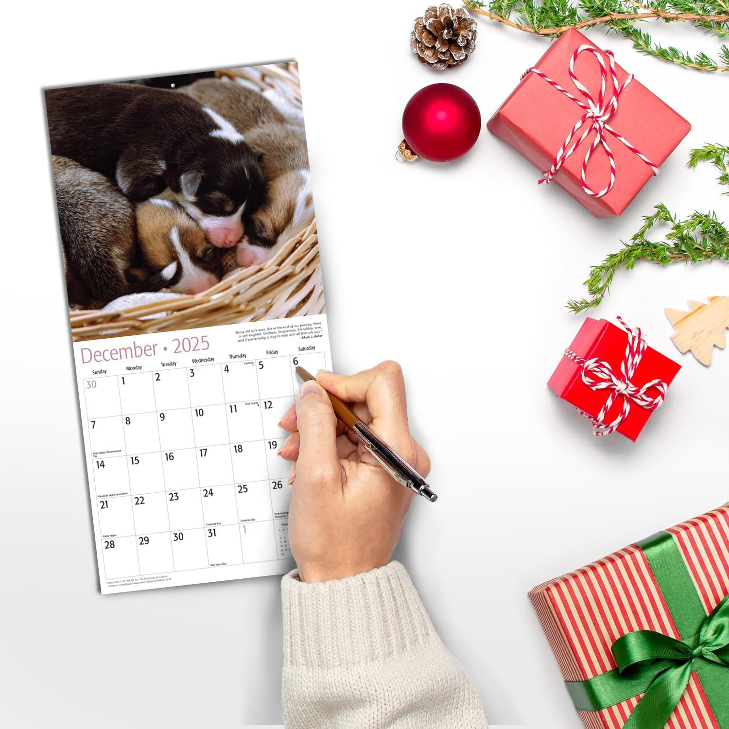 Mini 2025 Wall Calendar 12 Month - Image 2