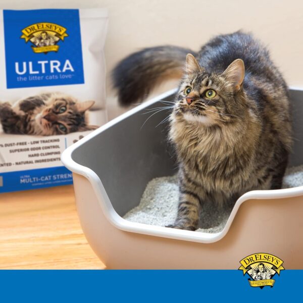 Dr. Elsey's Cat Litter - Premium Unscented Cat Litter w/ Natural Ingredients - Image 2