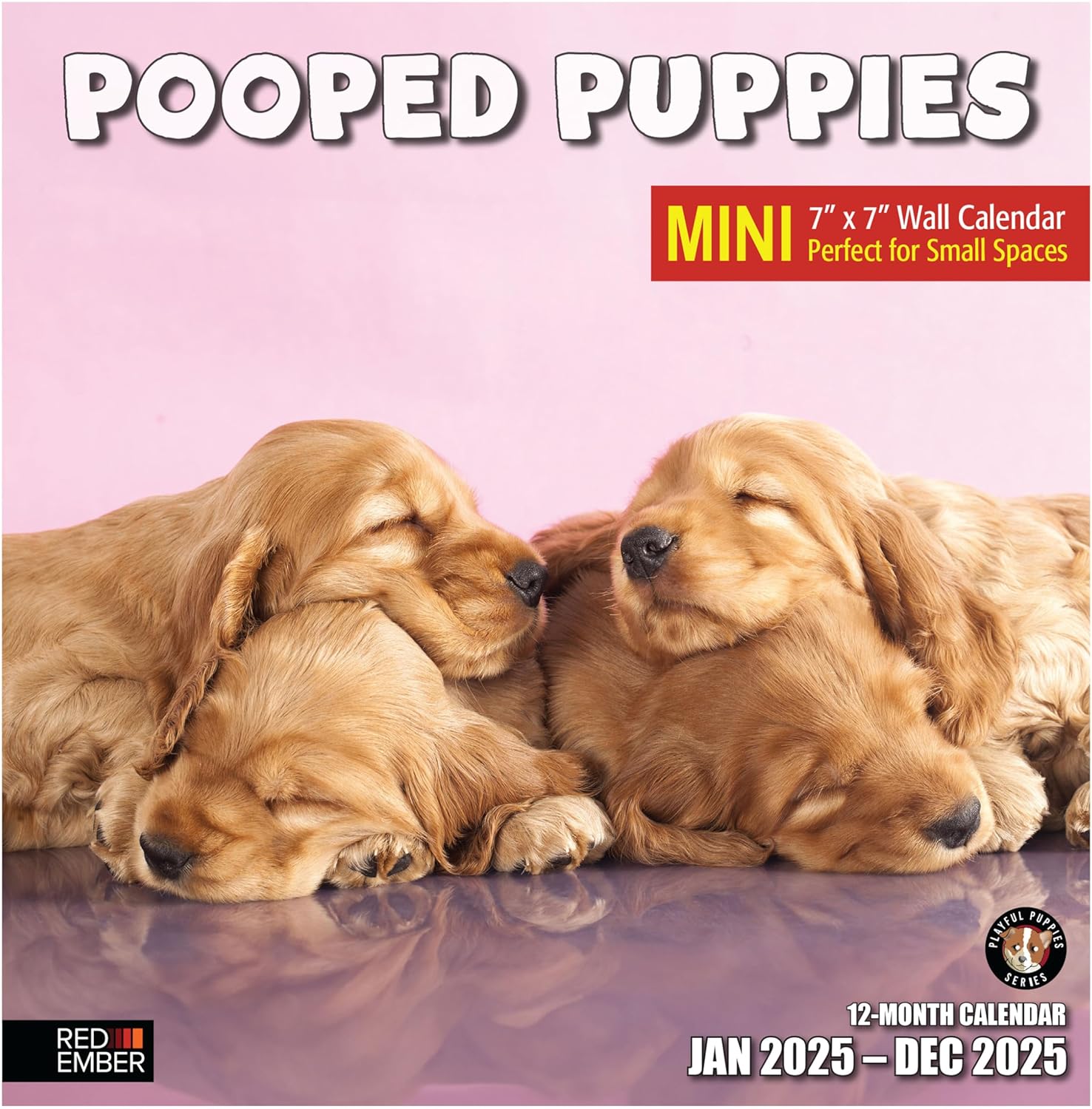 Mini 2025 Wall Calendar 12 Month